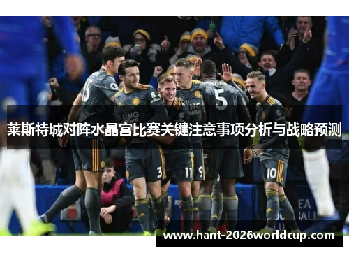 莱斯特城对阵水晶宫比赛关键注意事项分析与战略预测